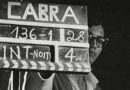 Em sua 30ª edição, Festival É Tudo Verdade soma dores do mundo a filmes biográficos e “Chaplin cigano”