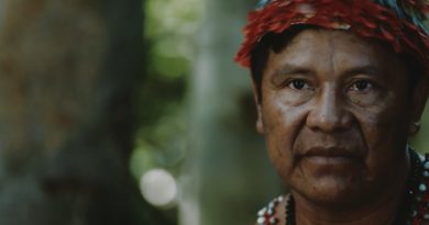 Canais da EBC apresentam mostra de filmes de arquivo sobre preservação e sustentabilidade Canais da EBC apresentam mostra de filmes de arquivo sobre preservação e sustentabilidade