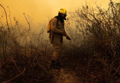 “Sinfonia da Sobrevivência”, de Michel Coeli, estreia no Canal Brasil