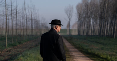 David di Donatello tem dois brasileiros na competição: Walter Salles e Caetano Veloso. E Sorrentino como favorito por “A Graça”